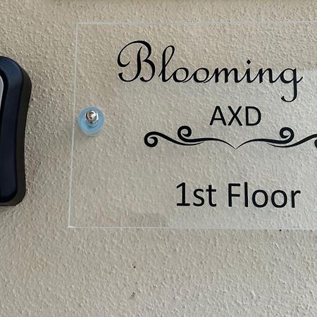 דירות אלכסנדרופולי Blooming 31 Axd מראה חיצוני תמונה